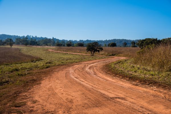 Cost of Dirt Driveway Repair in Charlotte
