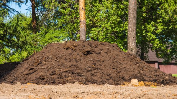 Cost of Dirt Installation in Charlotte