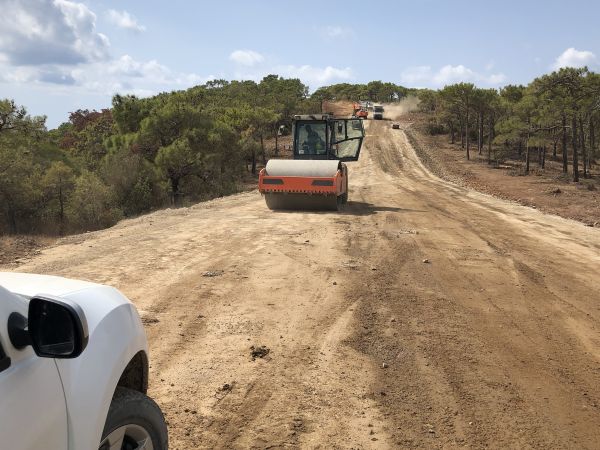 Cost of Driveway Grading in Charlotte