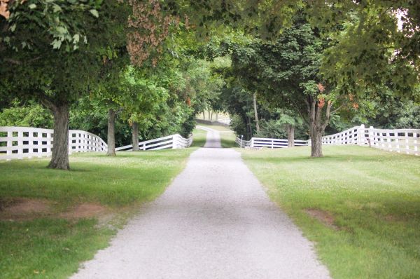 Cost of Gravel Driveway Construction in Charlotte
