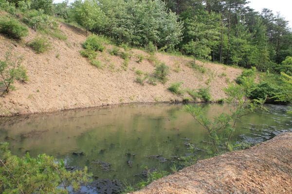 Cost of Pond Erosion Repair in Charlotte