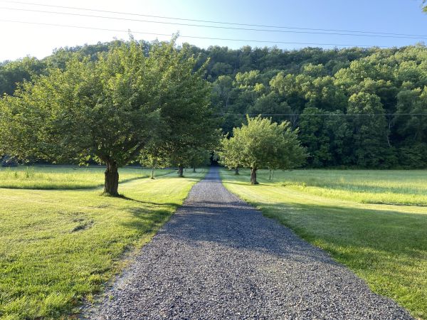 Cost of Gravel Road Construction in Charlotte