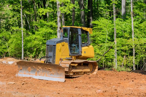 Cost of Lawn Flattening in Charlotte