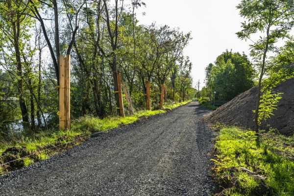 Cost of Dirt Road Construction in Charlotte